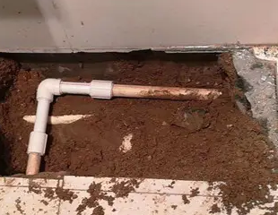 应城测漏水哪家好