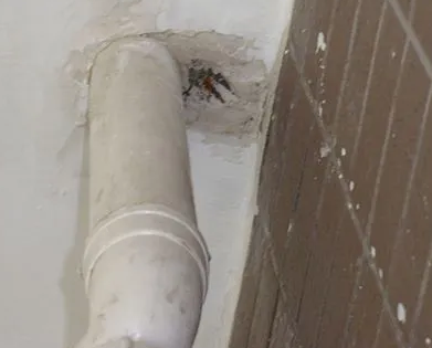 应城漏水检测哪家好